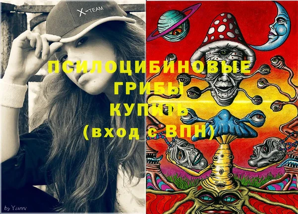 каннабис Аркадак