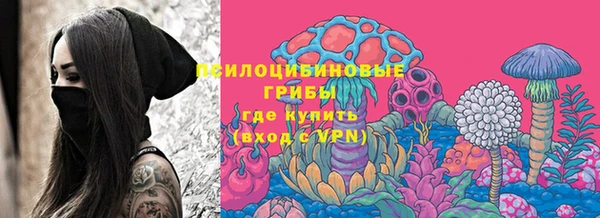 кокс Арсеньев