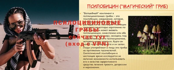 кокс Арсеньев